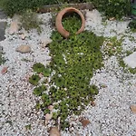 Ferienhaus Original Mediterranean Stone House Gornji Seget