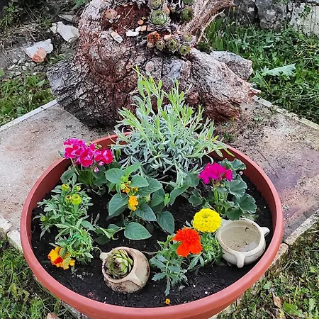 Vikendica Original Mediterranean Stone House